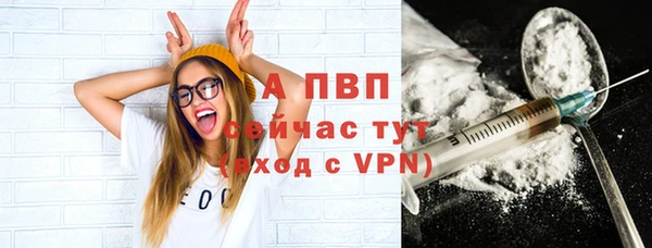 ешки Алексин