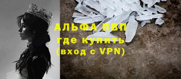 ешки Алексин