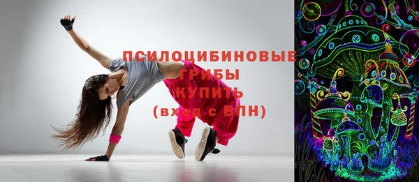 apvp Алзамай